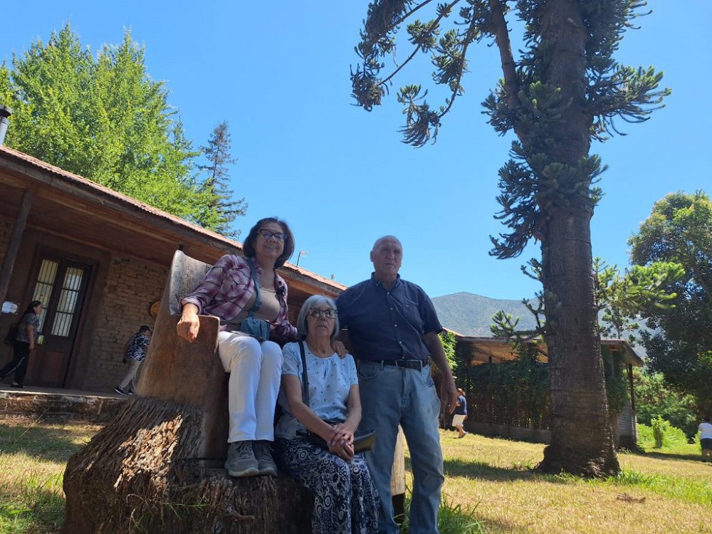 cabin-3